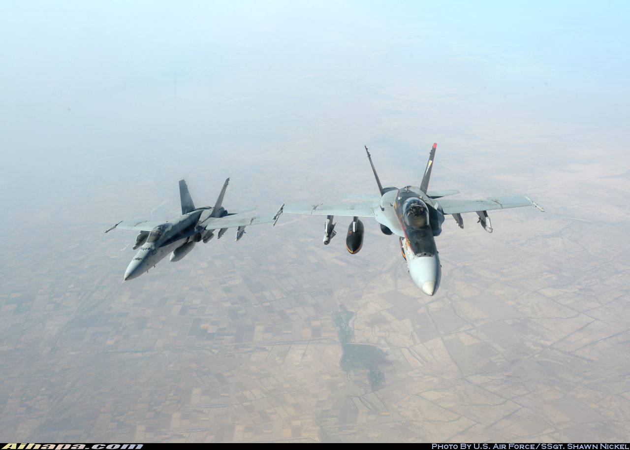 麦克唐纳-道格拉斯 F/A-18C&ldquo;大黄蜂&rdquo; \vert{} ID:14155