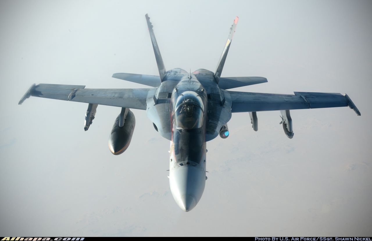 麦克唐纳-道格拉斯 F/A-18C&ldquo;大黄蜂&rdquo; \vert{} ID:14153