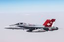 麦克唐纳-道格拉斯 F/A-18C&ldquo;大黄蜂&rdquo;