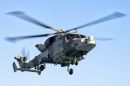 阿古斯塔-韦斯特兰 AW-159&ldquo;野猫&rdquo;AH1