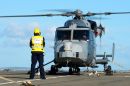 阿古斯塔-韦斯特兰 AW-159&ldquo;野猫&rdquo;AH1