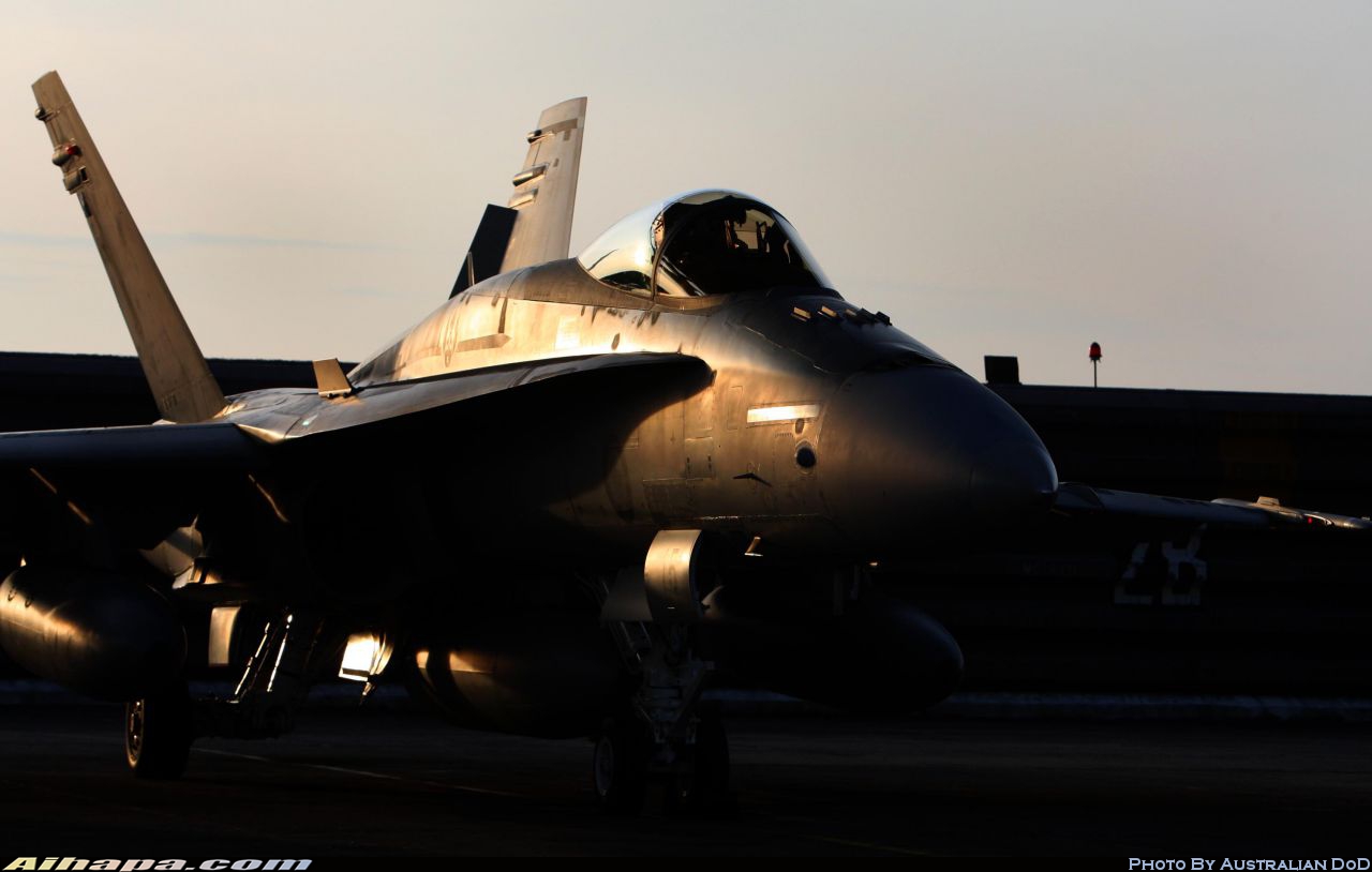 麦克唐纳-道格拉斯 F/A-18A&ldquo;大黄蜂&rdquo; \vert{} ID:19592