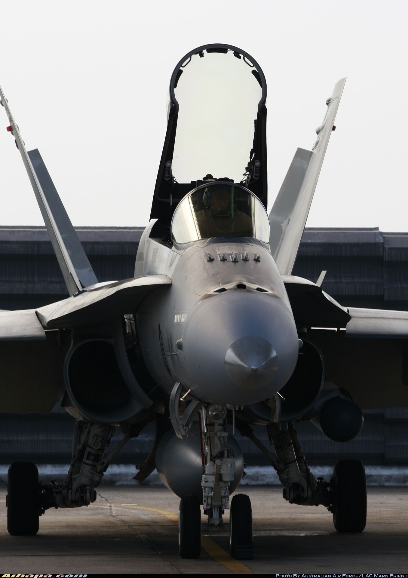 麦克唐纳-道格拉斯 F/A-18A&ldquo;大黄蜂&rdquo; \vert{} ID:19600