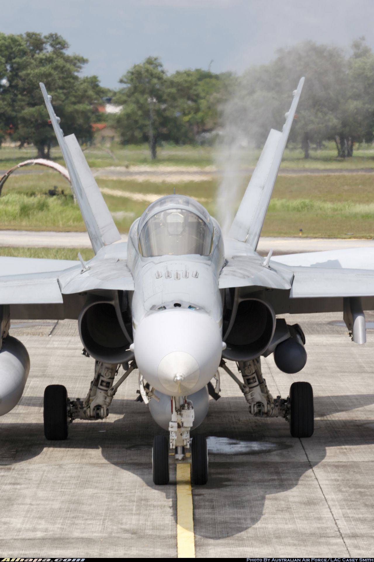 麦克唐纳-道格拉斯 F/A-18A&ldquo;大黄蜂&rdquo; \vert{} ID:19632