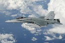 麦克唐纳-道格拉斯 F/A-18A&ldquo;大黄蜂&rdquo;