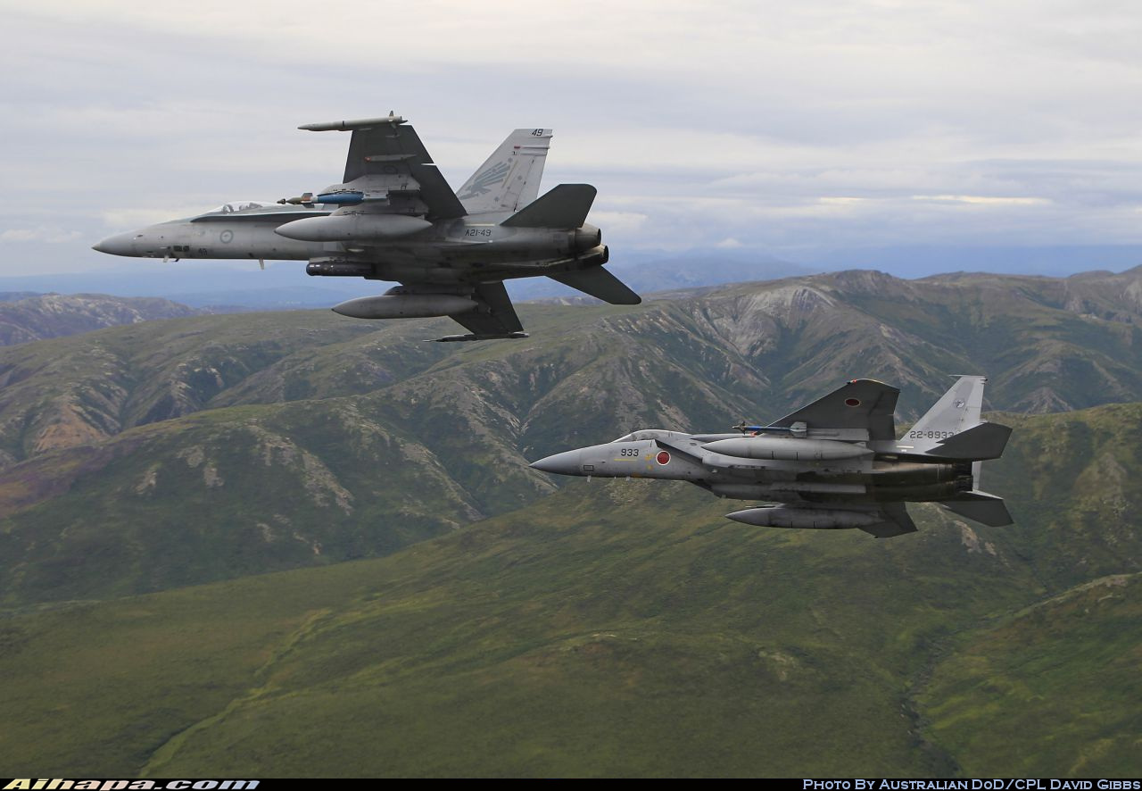 麦克唐纳-道格拉斯 F/A-18A&ldquo;大黄蜂&rdquo; \vert{} ID:11333