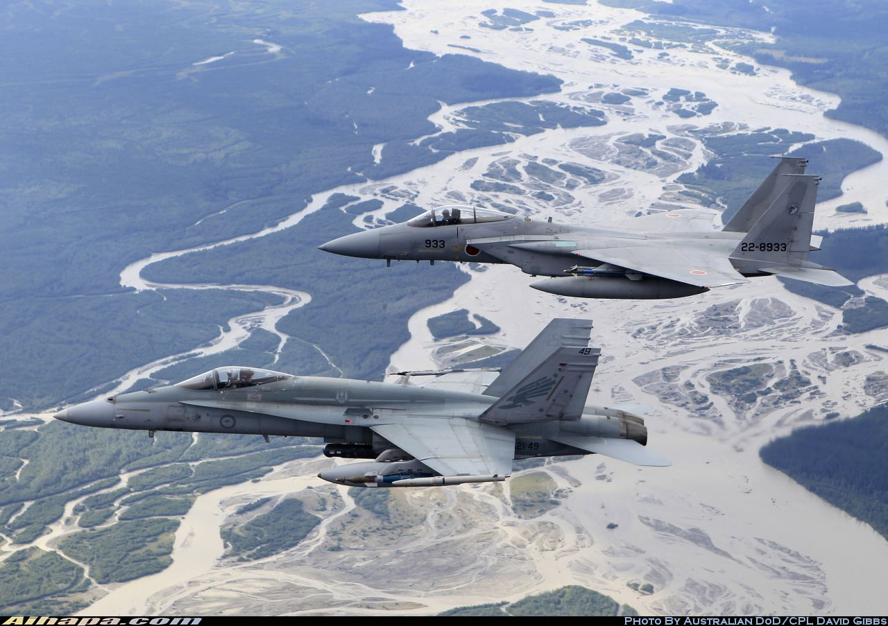 麦克唐纳-道格拉斯 F/A-18A&ldquo;大黄蜂&rdquo; \vert{} ID:11311
