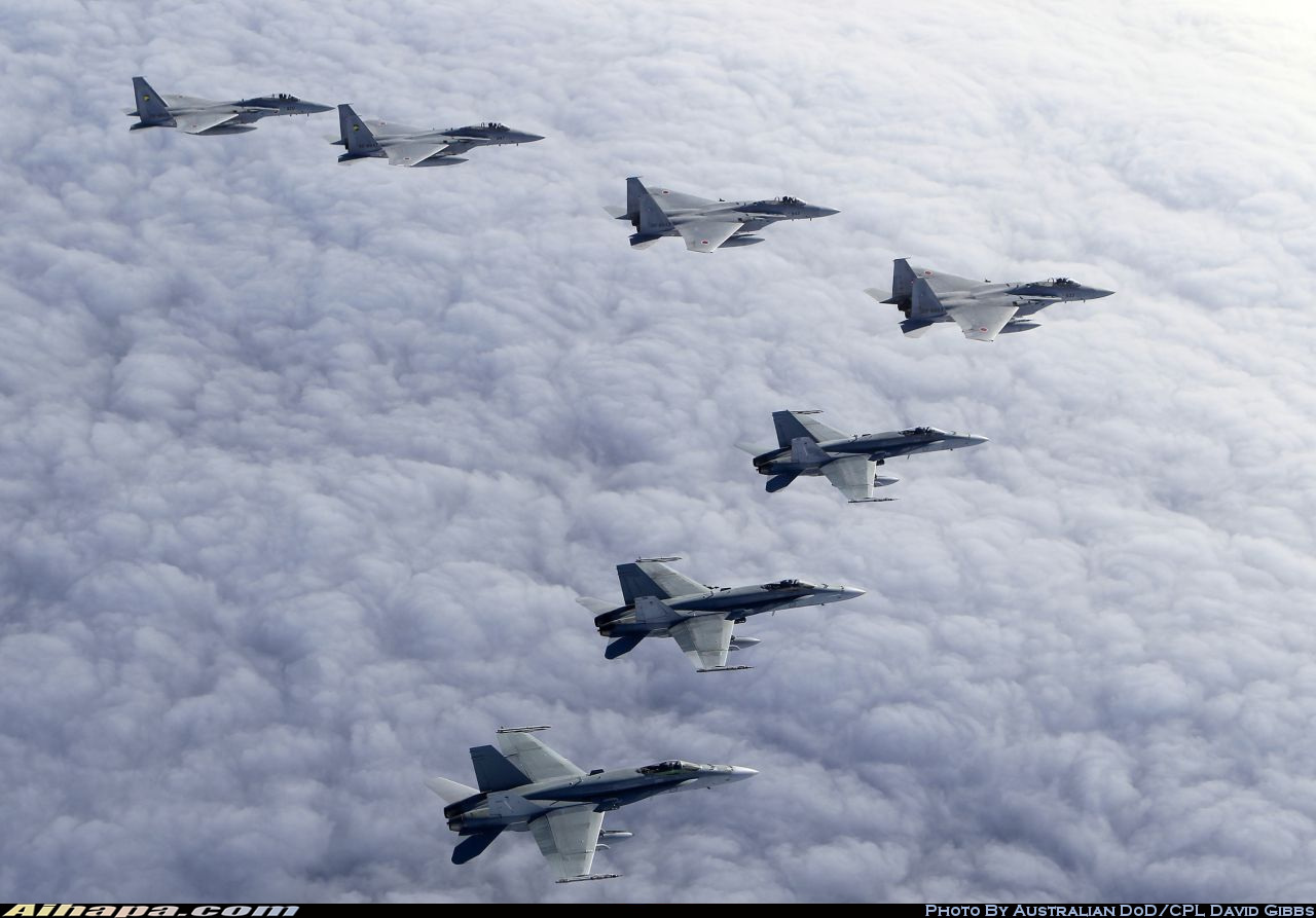 麦克唐纳-道格拉斯 F/A-18A&ldquo;大黄蜂&rdquo; \vert{} ID:11317