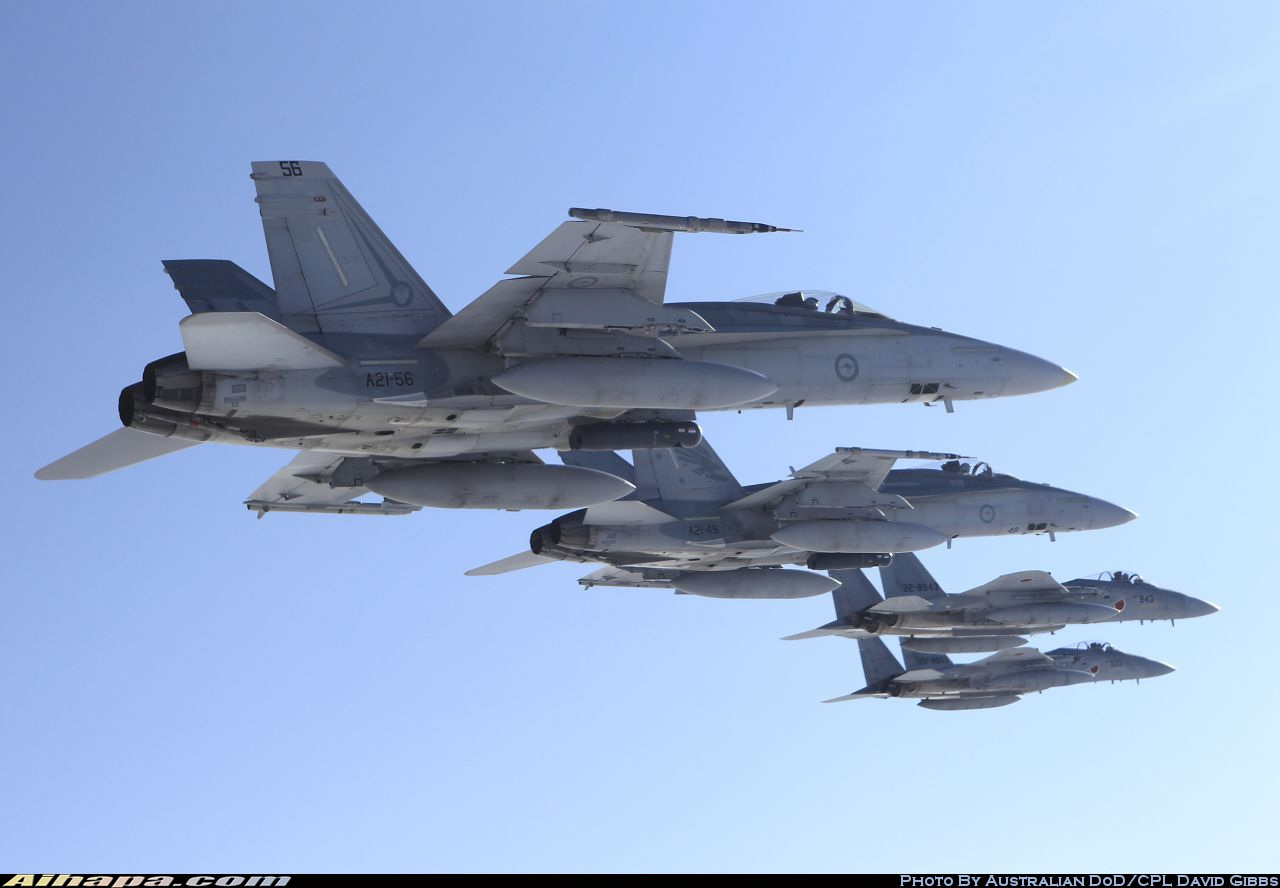 麦克唐纳-道格拉斯 F/A-18A&ldquo;大黄蜂&rdquo; \vert{} ID:11319