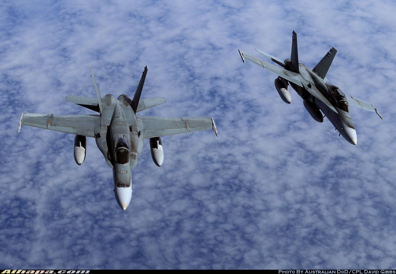 麦克唐纳-道格拉斯 F/A-18A&ldquo;大黄蜂&rdquo; \vert{} ID:11335