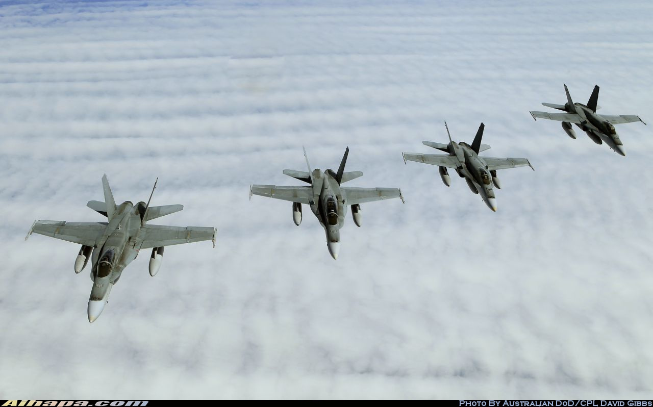 麦克唐纳-道格拉斯 F/A-18A&ldquo;大黄蜂&rdquo; \vert{} ID:11339