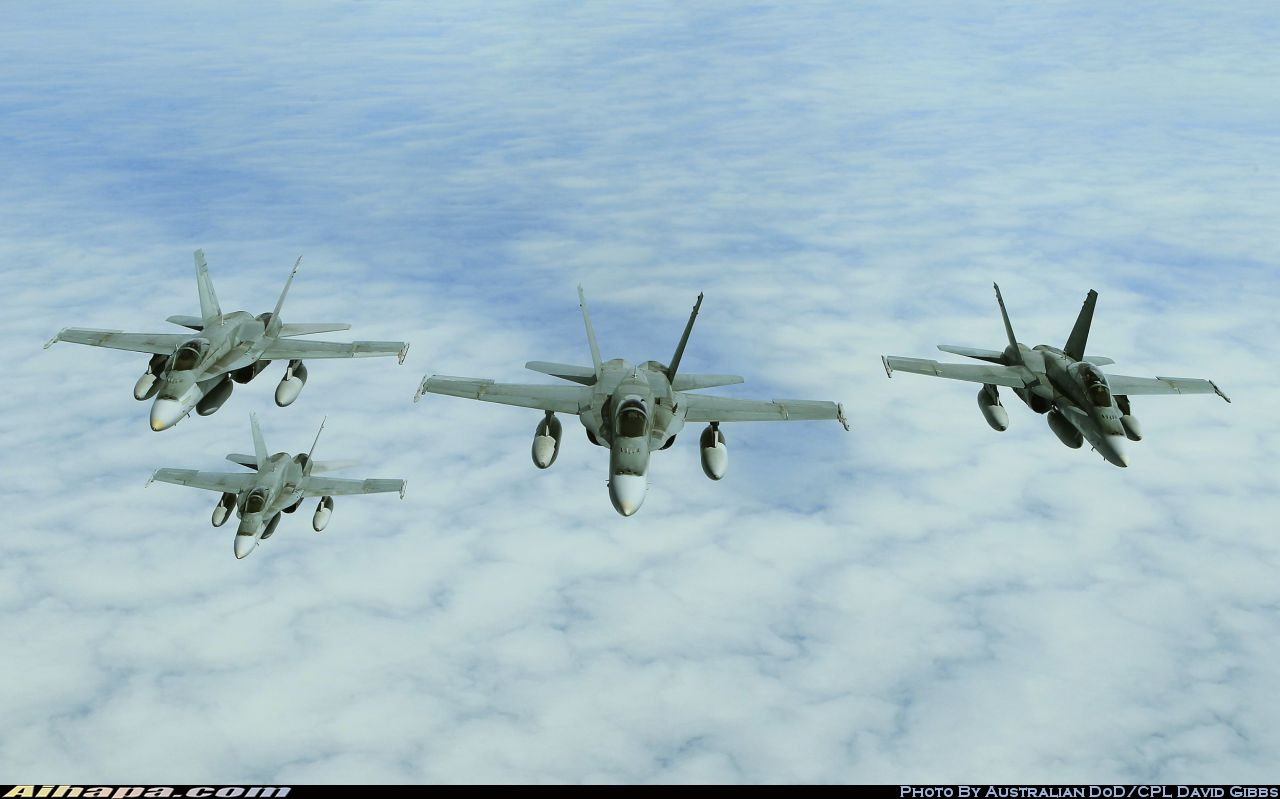 麦克唐纳-道格拉斯 F/A-18A&ldquo;大黄蜂&rdquo; \vert{} ID:11343
