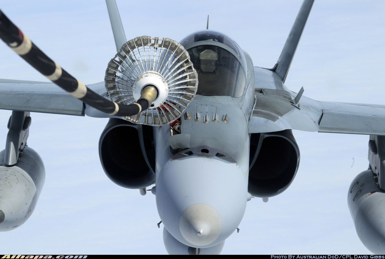 麦克唐纳-道格拉斯 F/A-18A&ldquo;大黄蜂&rdquo; \vert{} ID:11351