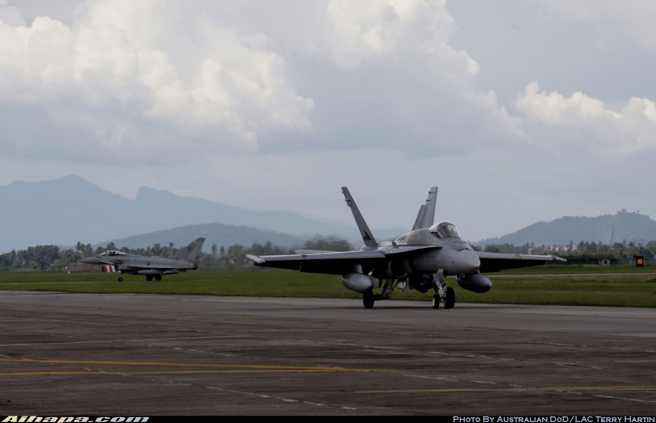 麦克唐纳-道格拉斯 F/A-18A&ldquo;大黄蜂&rdquo; \vert{} ID:19914