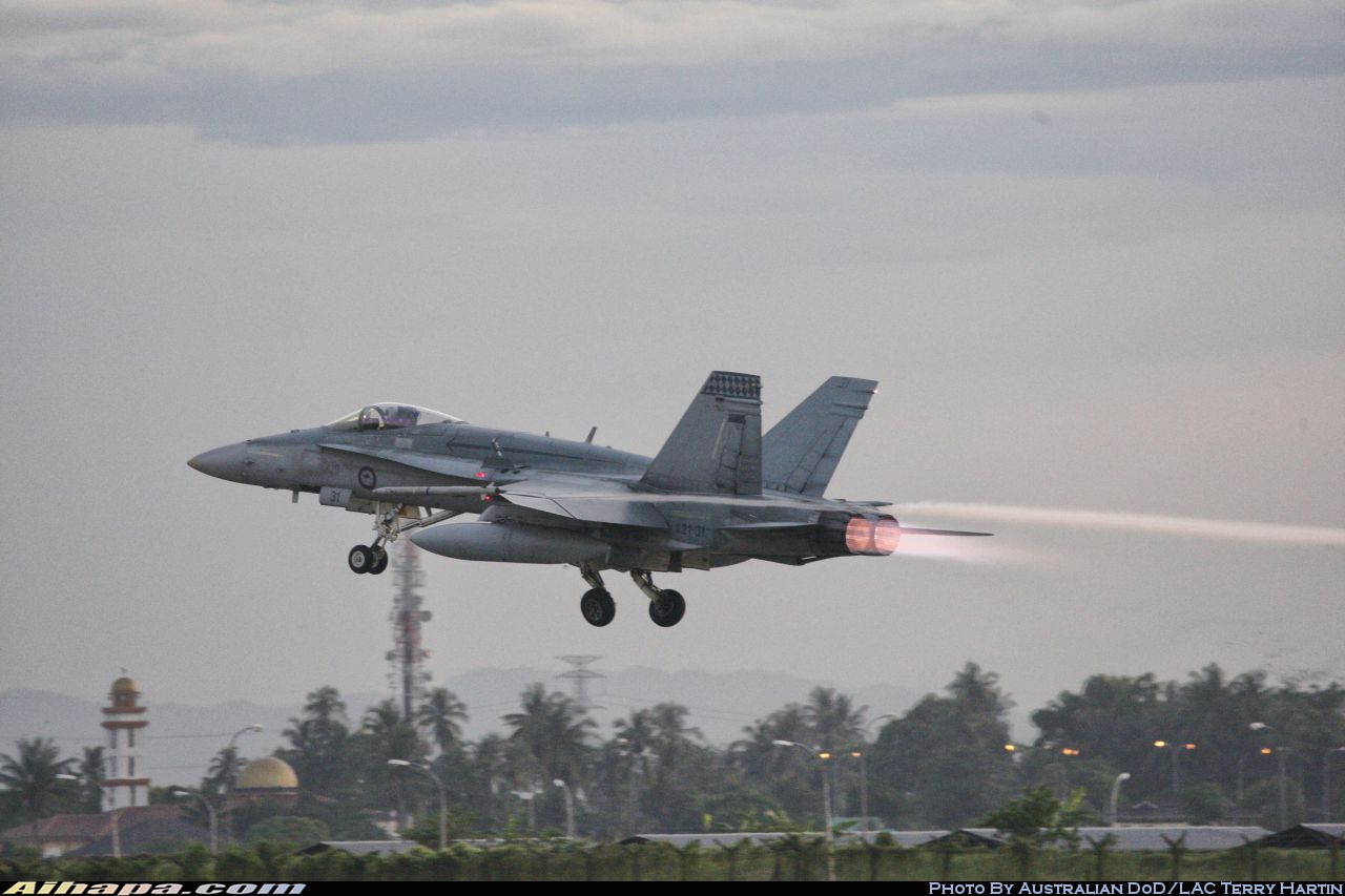 麦克唐纳-道格拉斯 F/A-18A&ldquo;大黄蜂&rdquo; \vert{} ID:19918