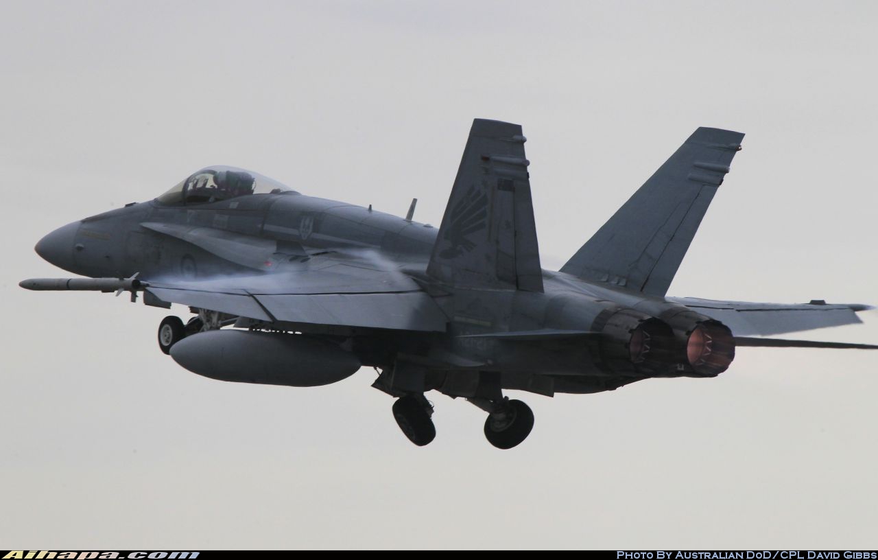 麦克唐纳-道格拉斯 F/A-18A&ldquo;大黄蜂&rdquo; \vert{} ID:19774