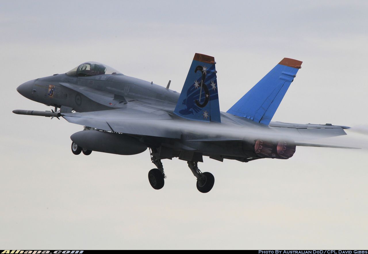 麦克唐纳-道格拉斯 F/A-18A&ldquo;大黄蜂&rdquo; \vert{} ID:19782