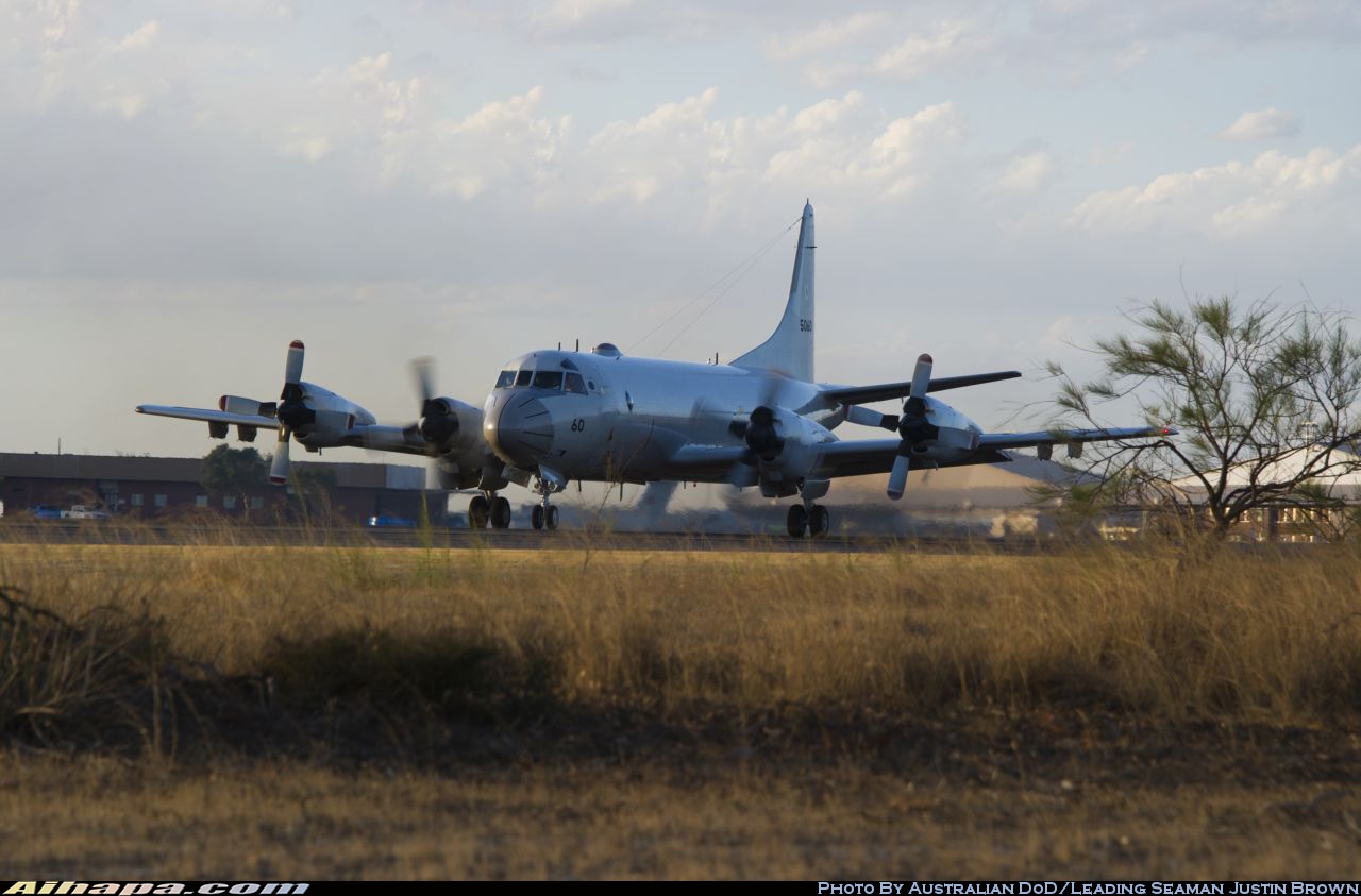 洛克希德(川崎) P-3C&ldquo;猎户座&rdquo; \vert{} ID:13123