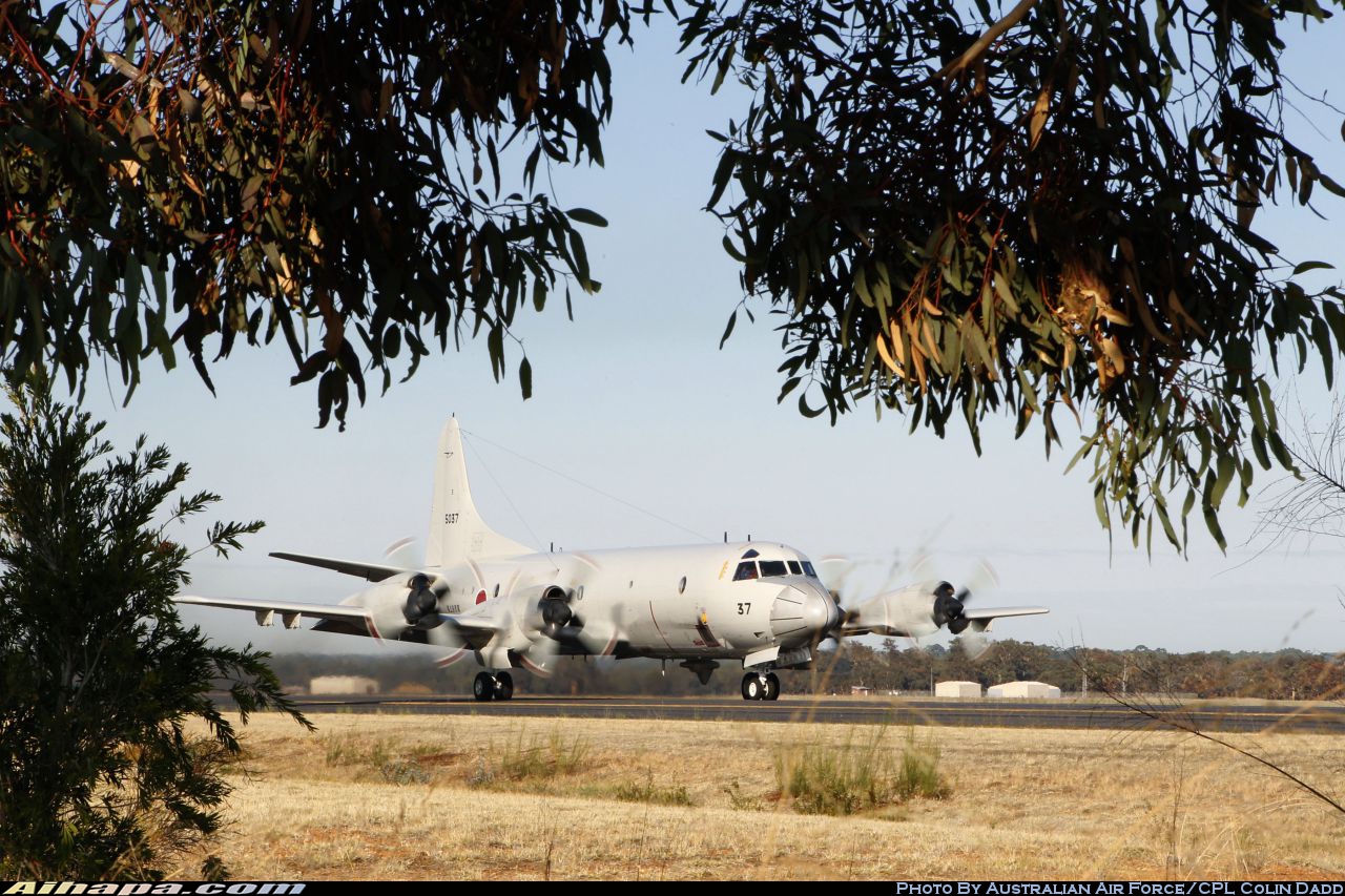 洛克希德(川崎) P-3C&ldquo;猎户座&rdquo; \vert{} ID:13117