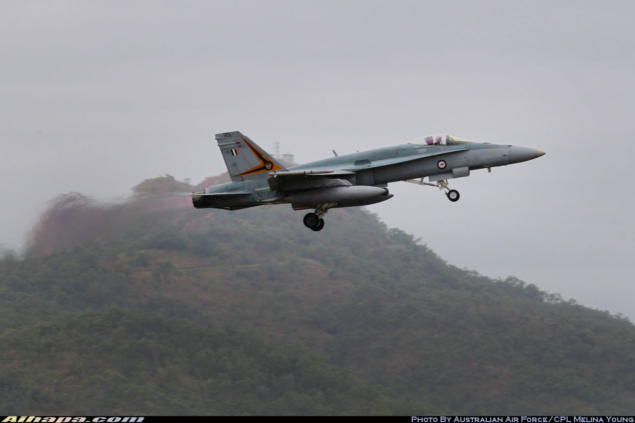 麦克唐纳-道格拉斯 F/A-18A&ldquo;大黄蜂&rdquo; \vert{} ID:12272