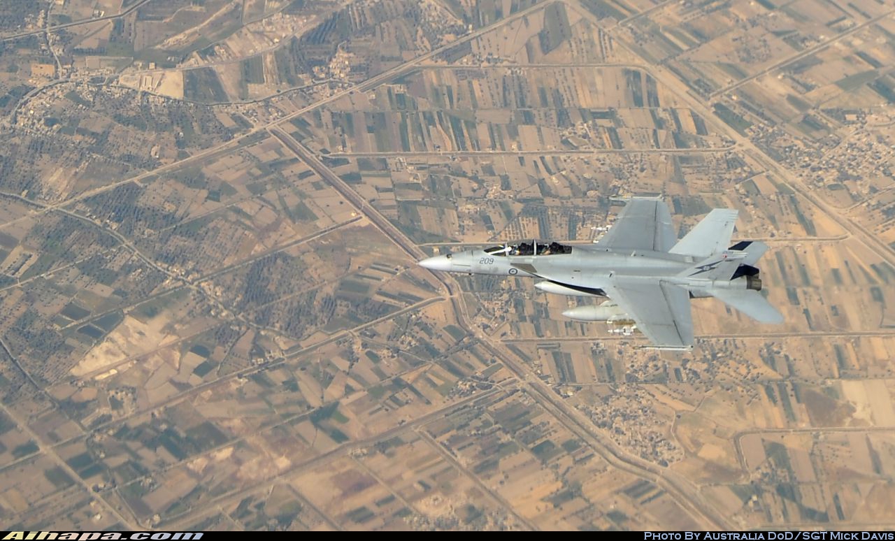 波音 F/A-18F&ldquo;超级大黄蜂&rdquo; \vert{} ID:16148