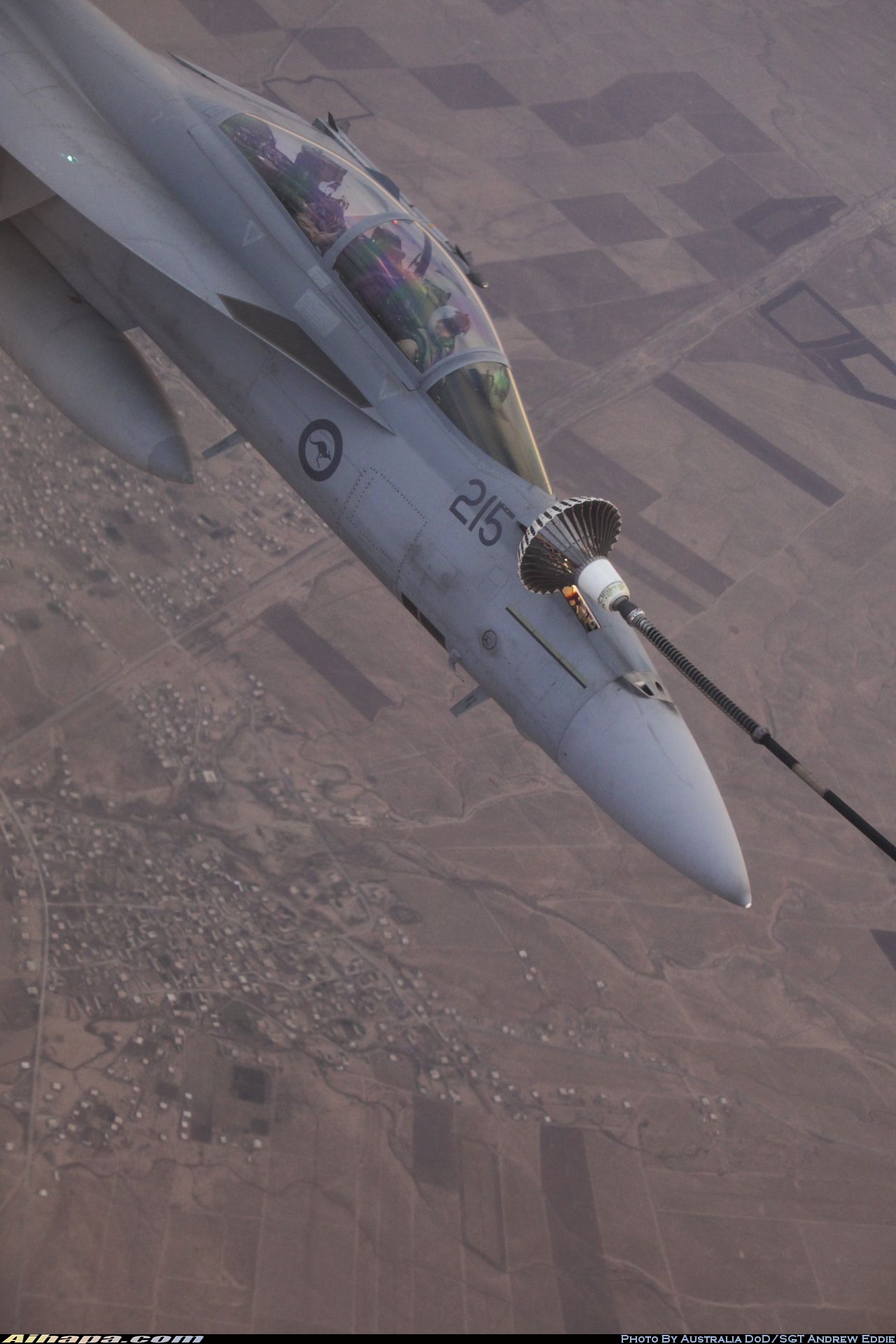 波音 F/A-18F&ldquo;超级大黄蜂&rdquo; \vert{} ID:16164