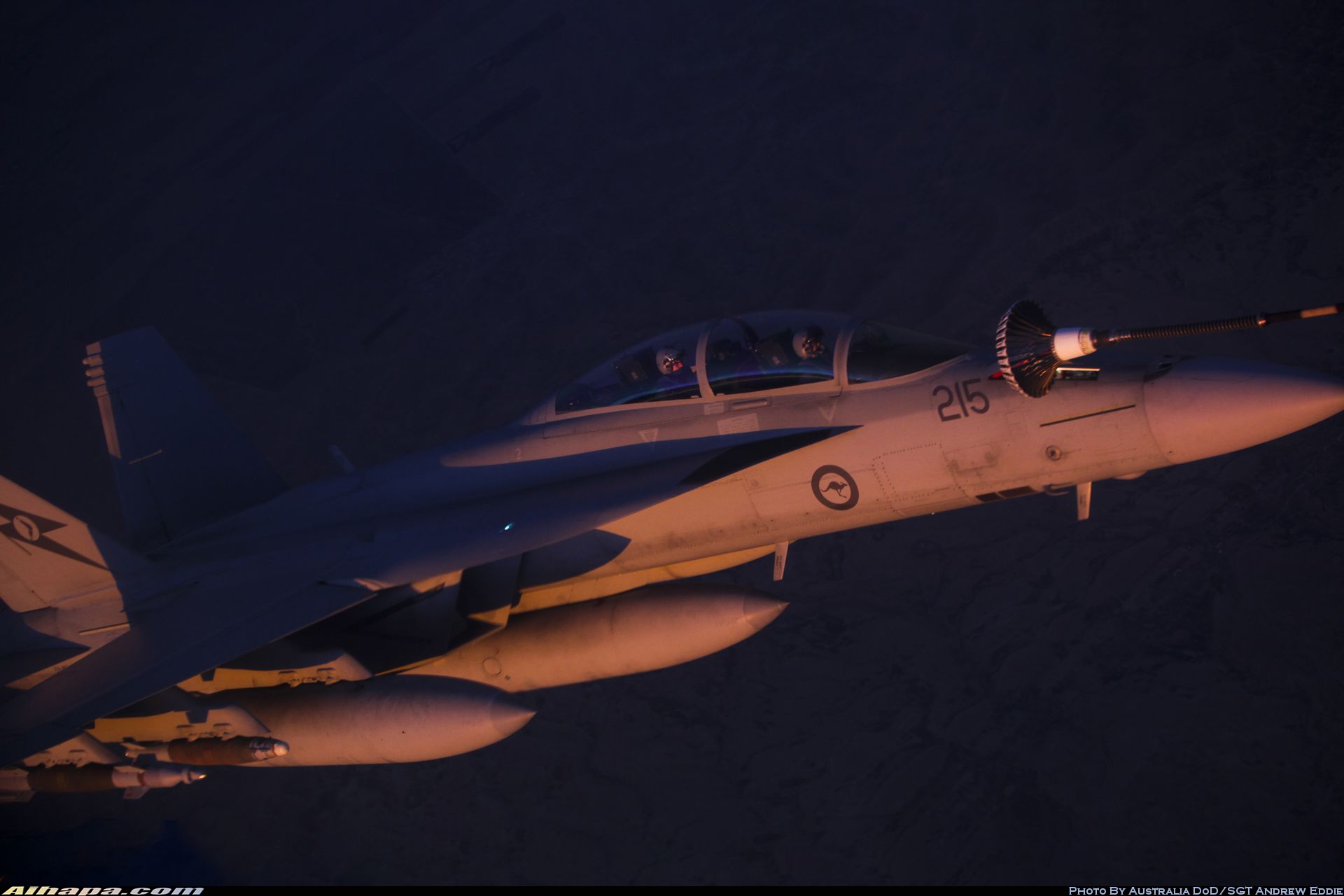 波音 F/A-18F&ldquo;超级大黄蜂&rdquo; \vert{} ID:16166