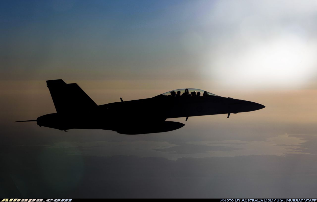 波音 F/A-18F&ldquo;超级大黄蜂&rdquo; \vert{} ID:16661
