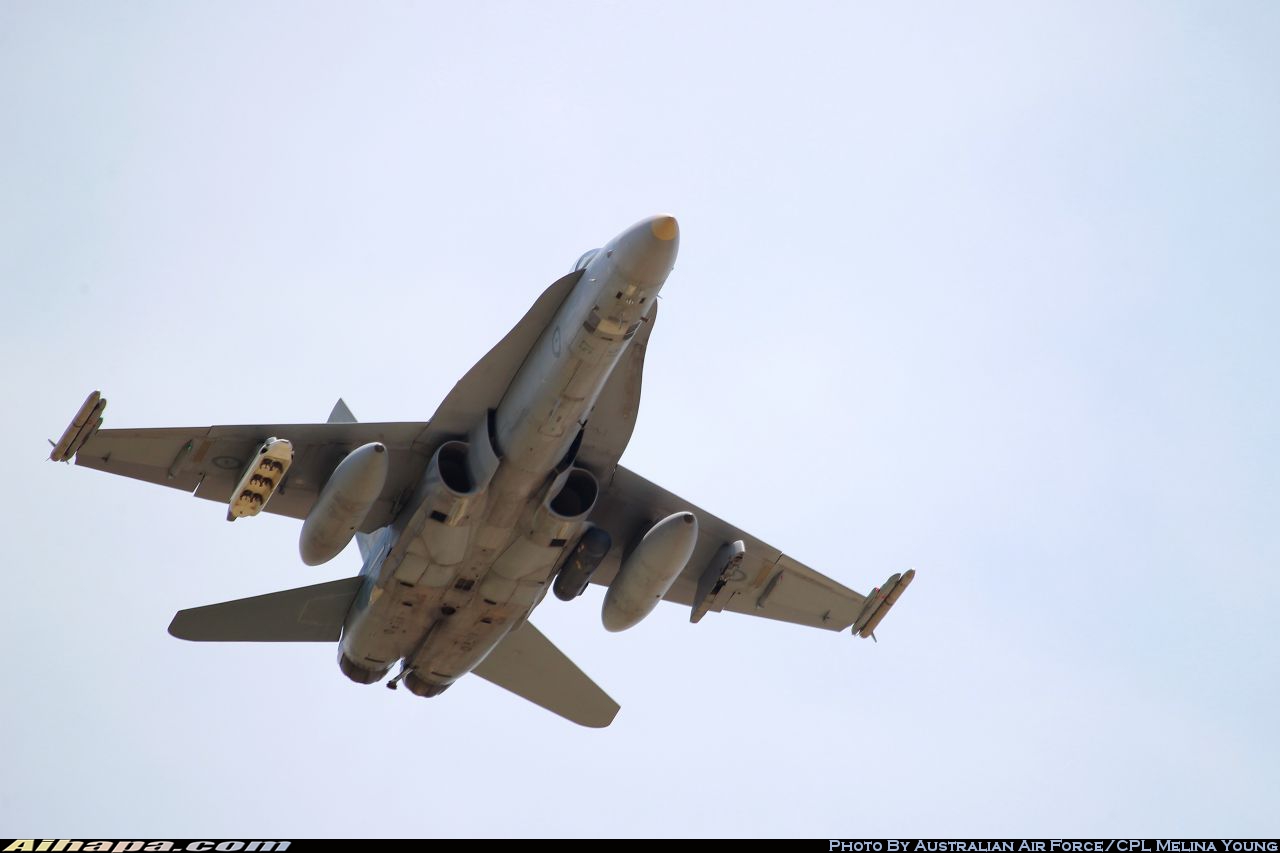 麦克唐纳-道格拉斯 F/A-18A&ldquo;大黄蜂&rdquo; \vert{} ID:18603