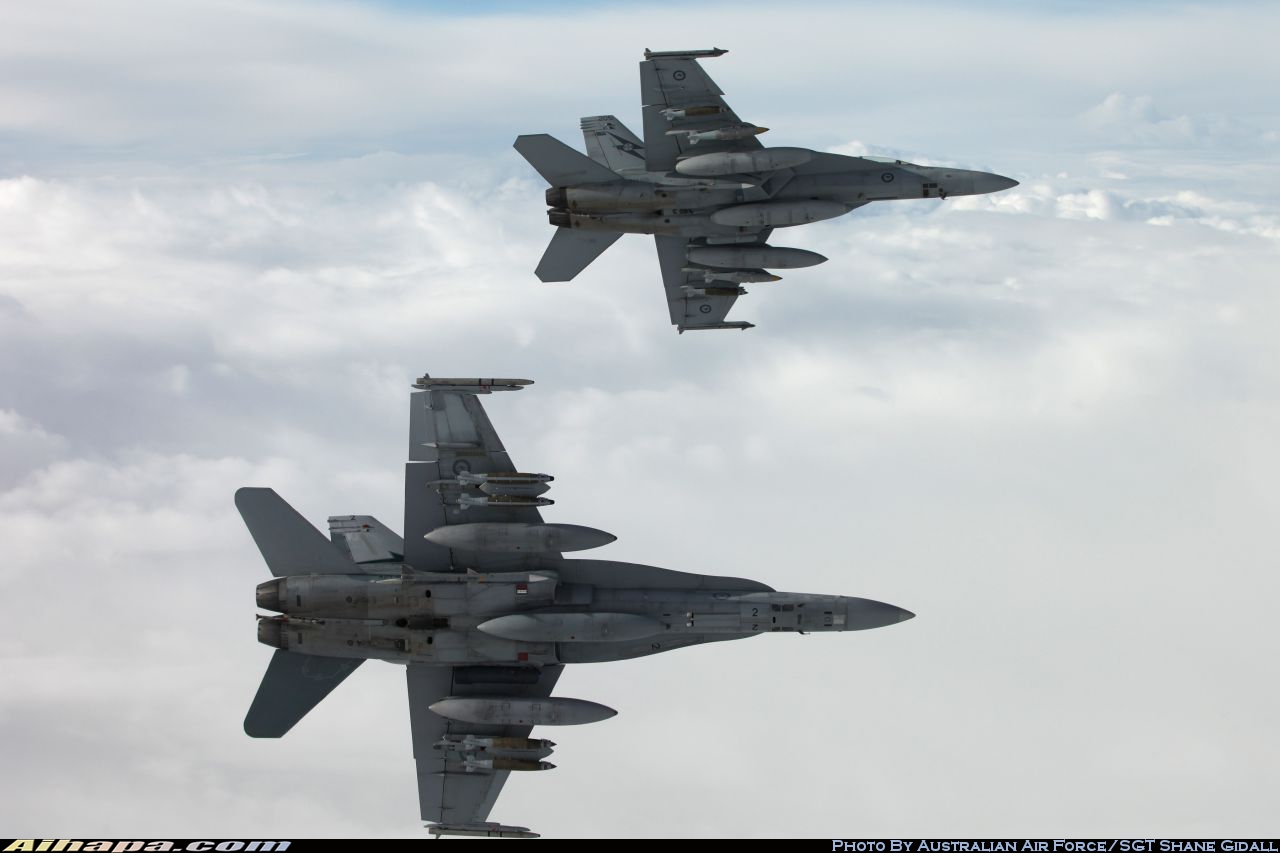 麦克唐纳-道格拉斯 F/A-18A&ldquo;大黄蜂&rdquo; \vert{} ID:24881