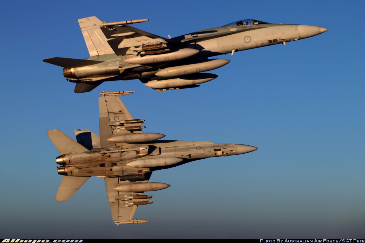 麦克唐纳-道格拉斯 F/A-18A&ldquo;大黄蜂&rdquo; \vert{} ID:24901