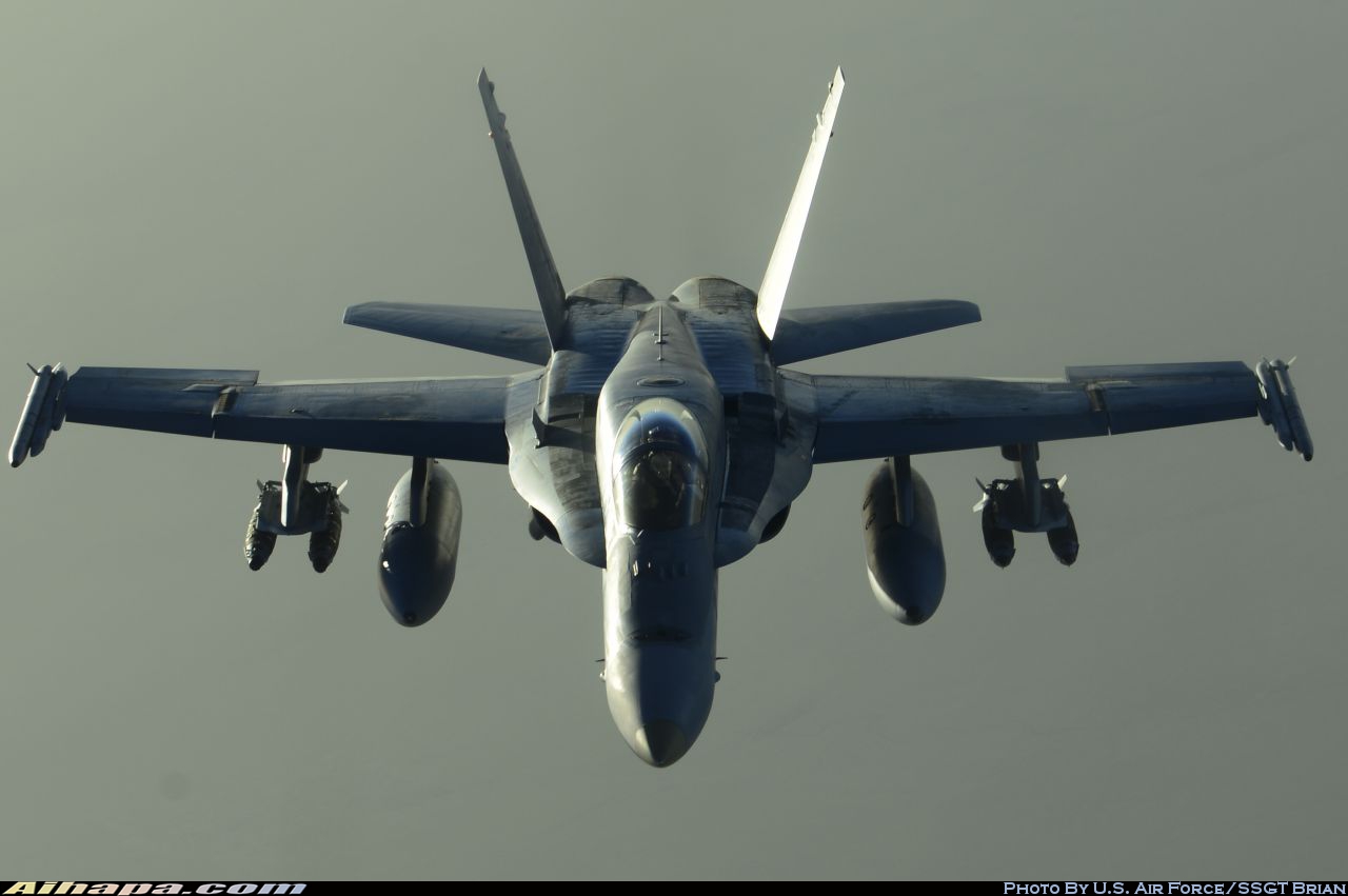 麦克唐纳-道格拉斯 F/A-18A&ldquo;大黄蜂&rdquo; \vert{} ID:28833