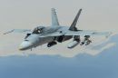 麦克唐纳-道格拉斯 F/A-18A&ldquo;大黄蜂&rdquo;