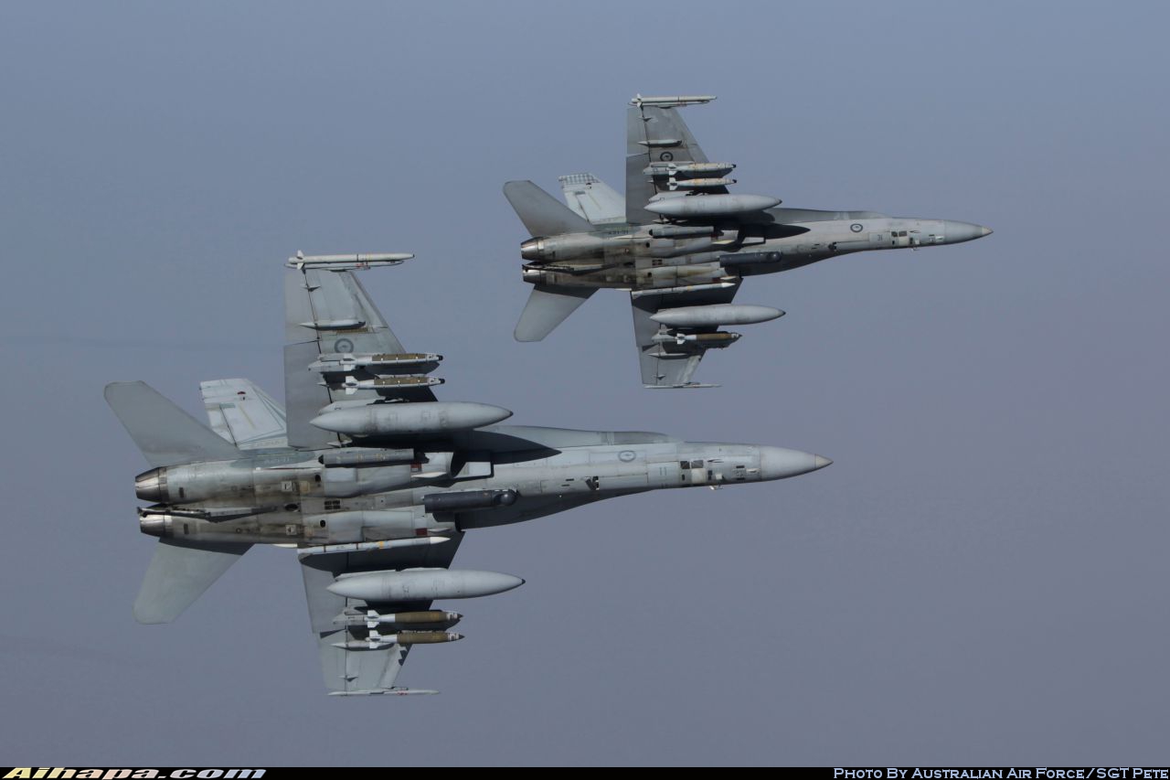 麦克唐纳-道格拉斯 F/A-18A&ldquo;大黄蜂&rdquo; \vert{} ID:28818