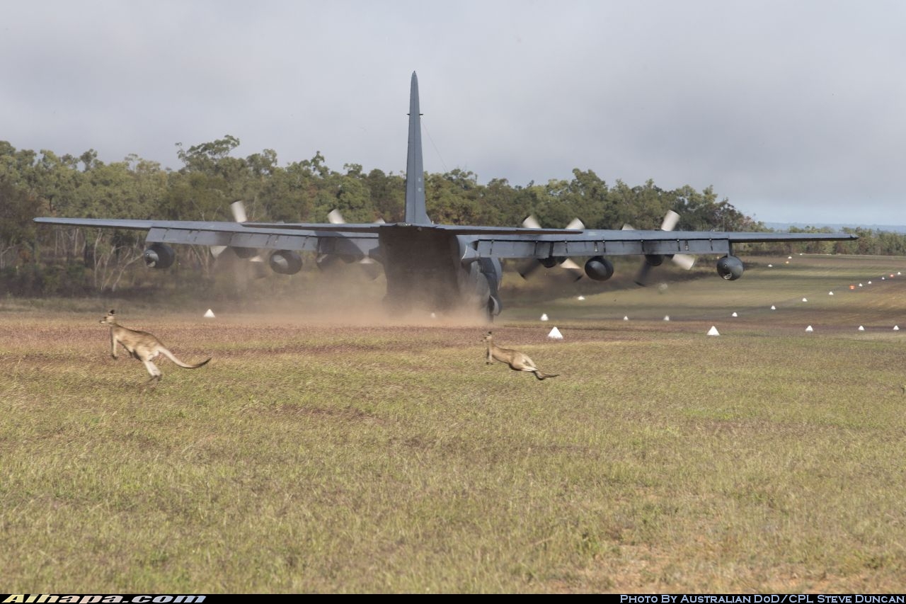 洛克希德 MC-130P&ldquo;大力神&rdquo; \vert{} ID:33019