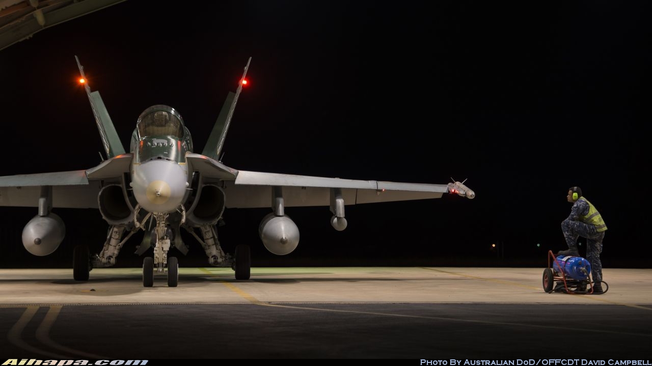 麦克唐纳-道格拉斯 F/A-18A&ldquo;大黄蜂&rdquo; \vert{} ID:34611