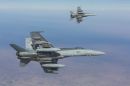 麦克唐纳-道格拉斯 F/A-18A&ldquo;大黄蜂&rdquo;