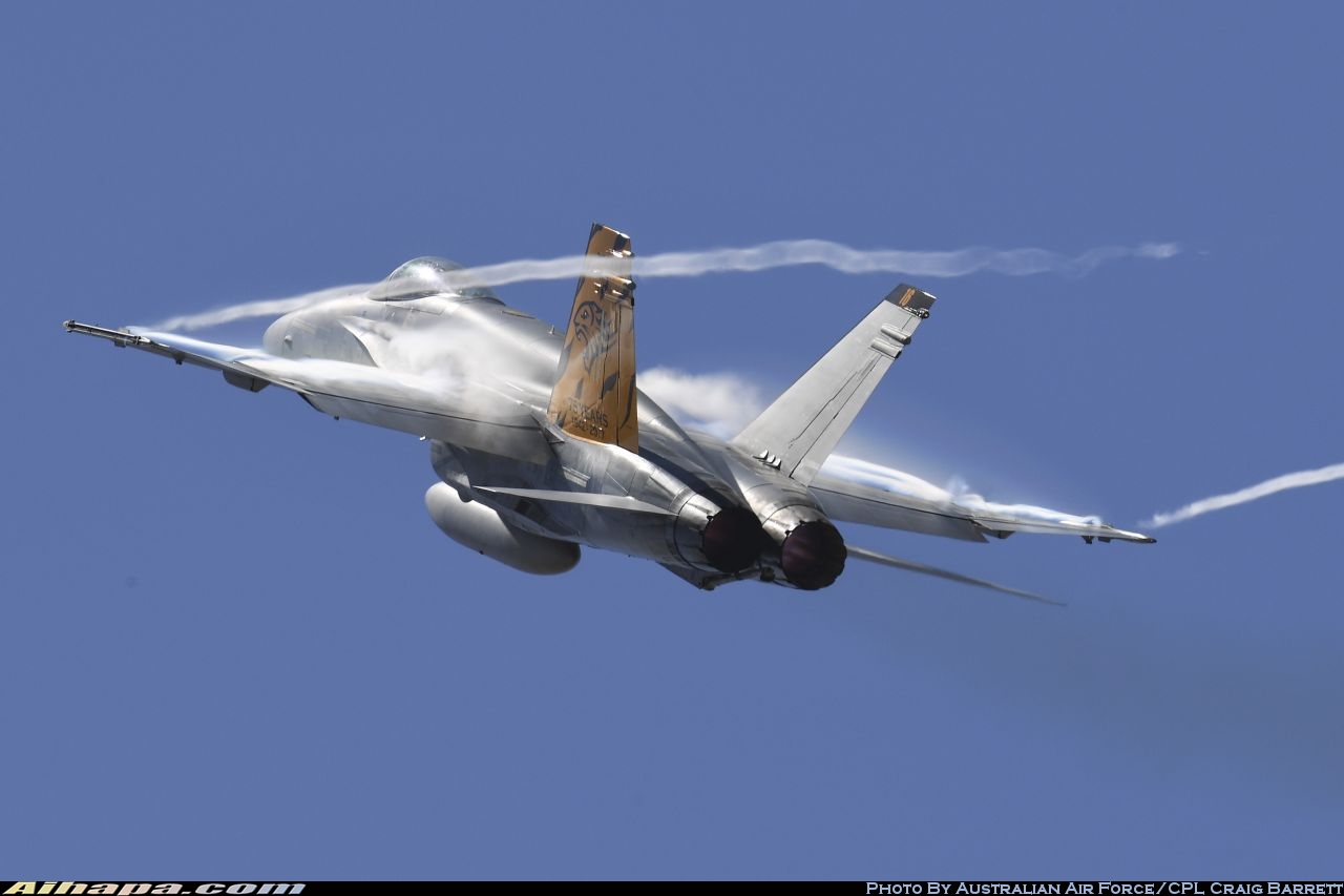 麦克唐纳-道格拉斯 F/A-18A&ldquo;大黄蜂&rdquo; \vert{} ID:34845
