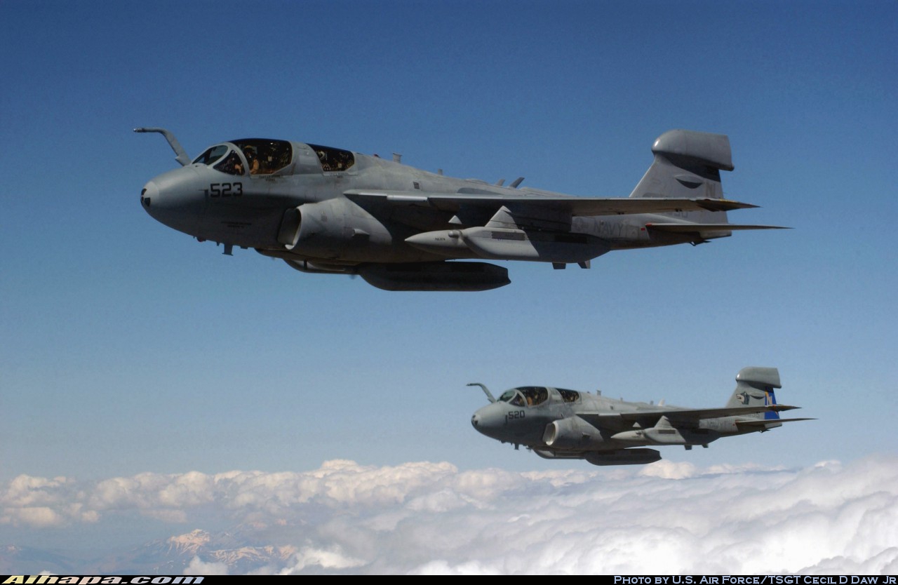 格鲁曼 EA-6B&ldquo;徘徊者&rdquo; \vert{} ID:4044