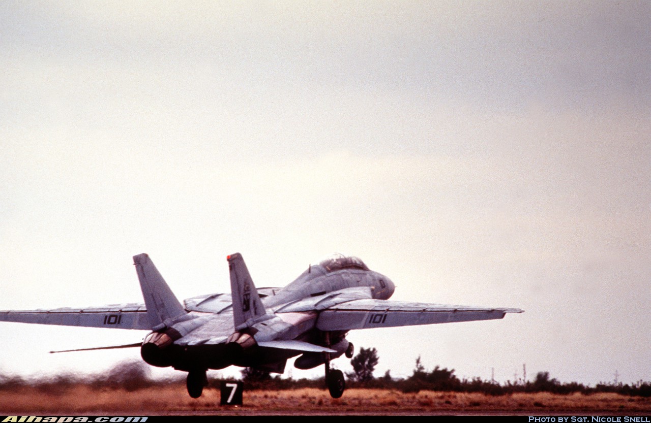 格鲁曼 F-14D&ldquo;雄猫&rdquo; \vert{} ID:4555
