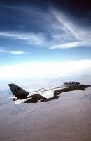 格鲁曼 F-14D&ldquo;雄猫&rdquo;