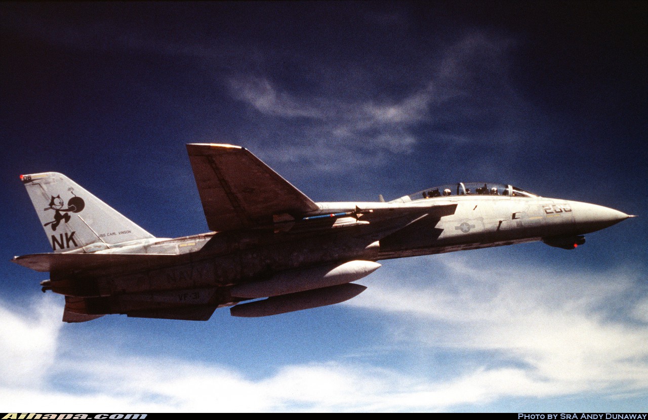 格鲁曼 F-14D&ldquo;雄猫&rdquo; \vert{} ID:4565