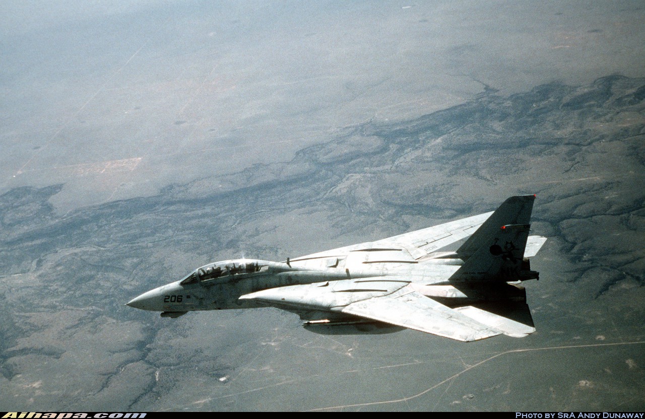 格鲁曼 F-14D&ldquo;雄猫&rdquo; \vert{} ID:4573