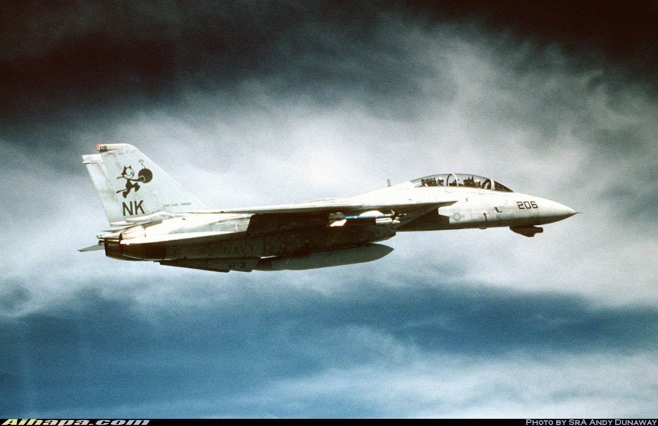 格鲁曼 F-14D&ldquo;雄猫&rdquo; \vert{} ID:4571