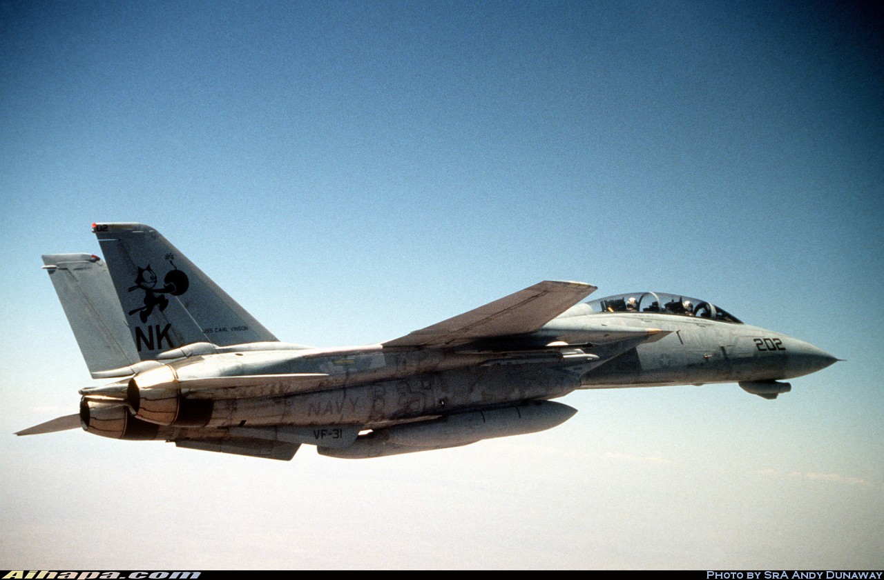 格鲁曼 F-14D&ldquo;雄猫&rdquo; \vert{} ID:4577