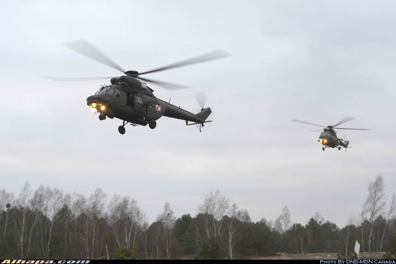波兰航空-斯威德尼克 W-3W&ldquo;索科尔&rdquo; \vert{} ID:16817