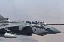 帕那维亚&ldquo;狂风&rdquo;GR4