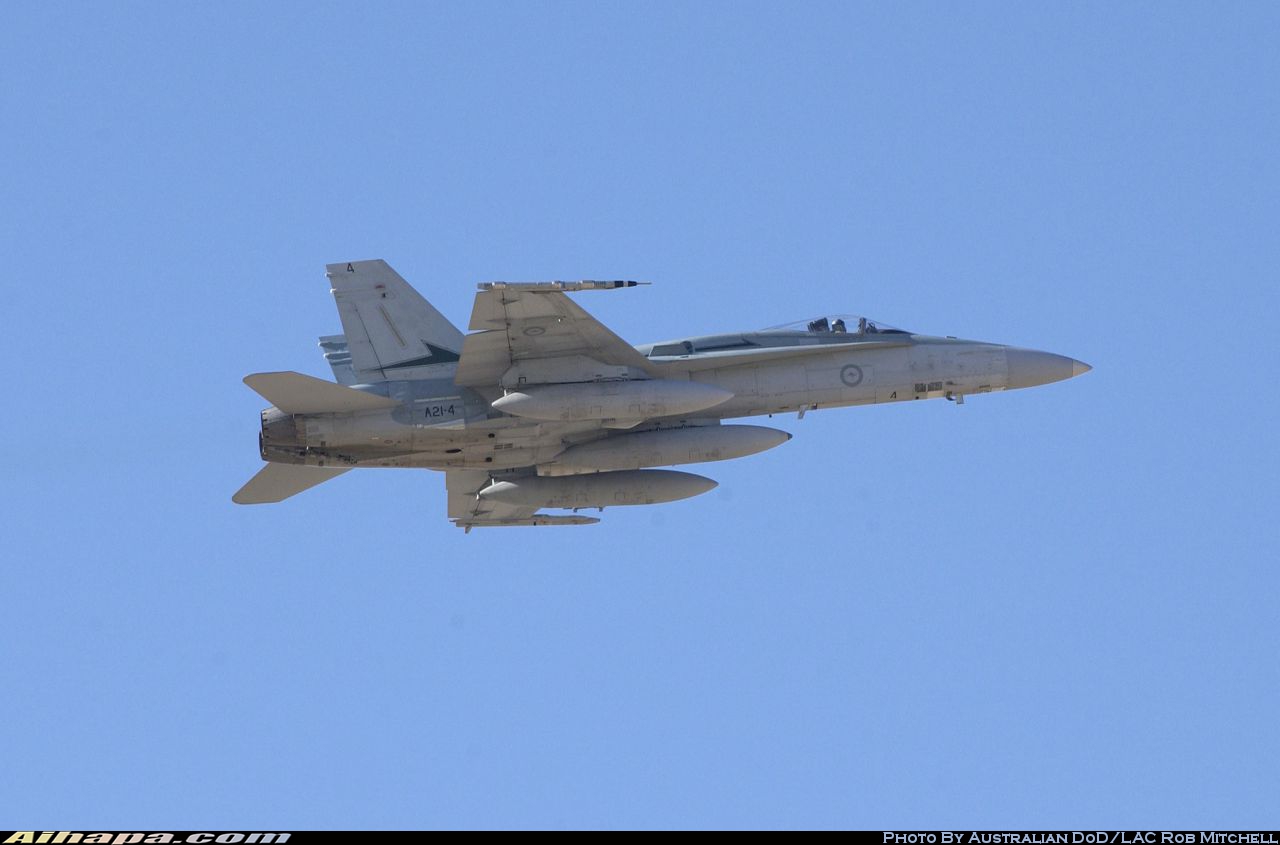 麦克唐纳-道格拉斯 F/A-18A&ldquo;大黄蜂&rdquo; \vert{} ID:15880