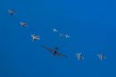 洛克希德 U-2S